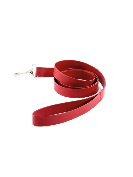 KIT BDSM DUNGEONS & MAIDENS VERMELHO CRUSHIOUS