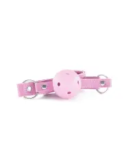 KIT BDSM DUNGEONS & MAIDENS ROSA CRUSHIOUS