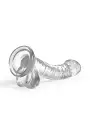 HUDINI DILDO ANAL JELLY TRANSPARENTE CRUSHIOUS