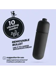 O-PET GOLFINHO COM BALA DE 10 VIBRAÇÕES AZUL CRUSHIOUS