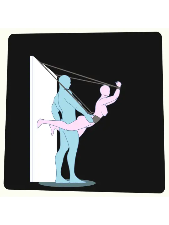 BALOIÇO DE PORTA DELUXE SEX DOOR SWING CRUSHIOUS