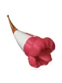 ESTIMULADOR DUPLO JAGGER CRUSHIOUS