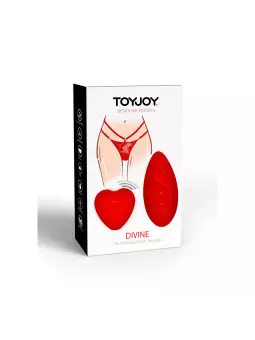 TANGA VIBRATÓRIA COM COMANDO DIVINE TOYJOY