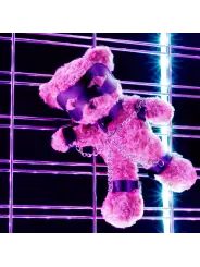 URSO DE PELÚCIA BONDAGE CRUSHITO PRETO 31CM CRUSHIOUS