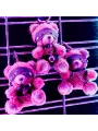 PORTA CHAVES URSO CRUSHITO COM ARNÊS CRUSHIOUS
