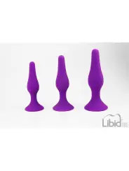 CONJUNTO PARA TREINO ANAL ROXO INTIMEN
