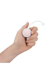 BOLAS VAGINAIS VIBRATÓRIAS COM COMANDO E 5 PESOS INTERCAMBIÁVEIS KEGEL KIT ROXO LOVELINE 