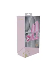 CONJUNTO DE 3 PLUGS ANAIS EM METAL PARIS COLLECTION ROSA OUCH! 