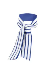 FANTASIA DE HOSPEDEIRA AZUL/BRANCO S-LINE 