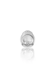 JAULA MODEL 29 TPE CHASTITY TRANSPARENTE MANCAGE