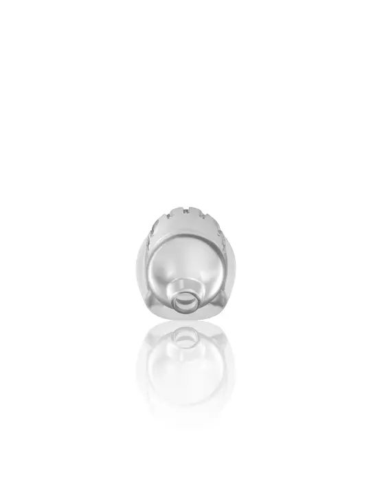 JAULA MODEL 29 TPE CHASTITY TRANSPARENTE MANCAGE