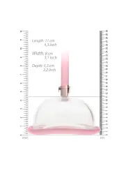 BOMBA PUSSY PUMP PUMPED