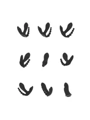 ESTIMULADOR COM DUPLA PENETRAÇÃO KATA PULSE WAVE BLACK VIVE 