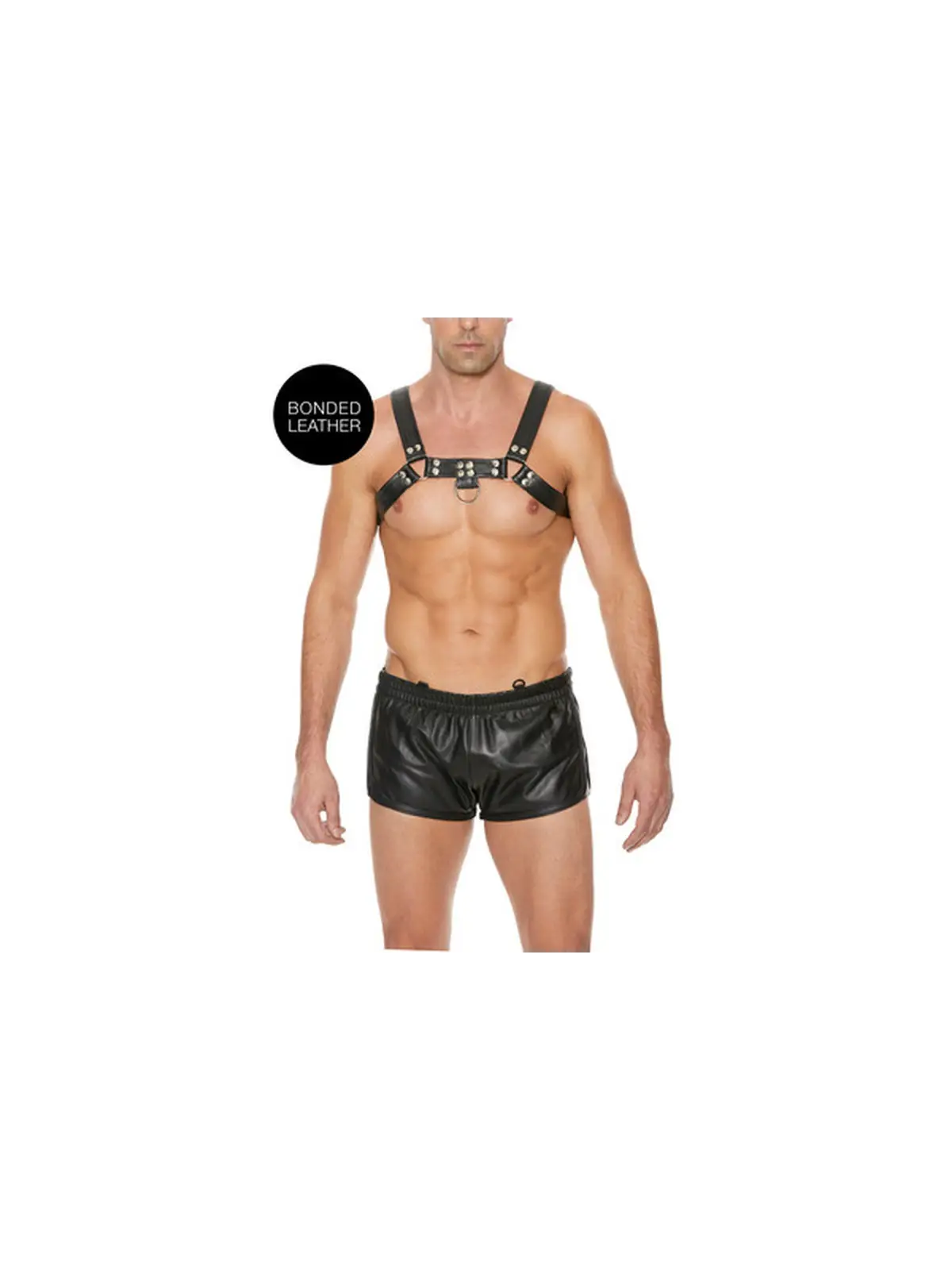 ARNÊS LEATHER BULLDOG HARNESS L/XL PRETO OUCH! 