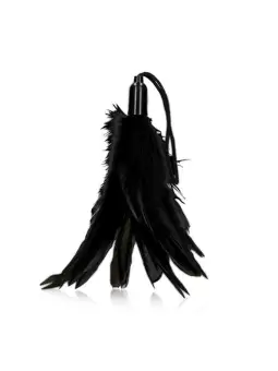 ESPANADOR PEQUENO PRETO OUCH!