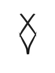 BODY LEON PRETO PASSION