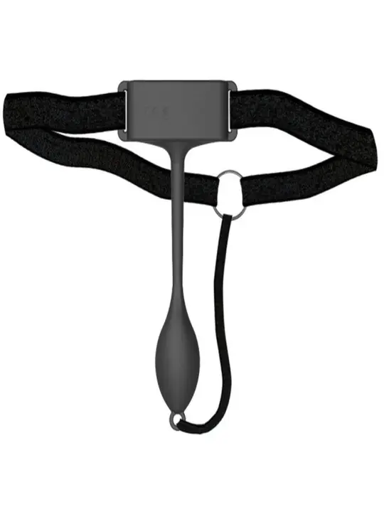 VIBRADOR PAN-T VIBE COM COMANDO ADRIEN LASTIC