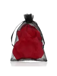 PÉTALAS DE ROSA VERMELHAS LE DÉSIR