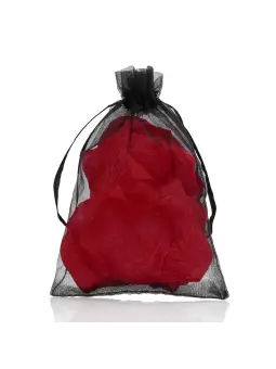 PÉTALAS DE ROSA VERMELHAS LE DÉSIR