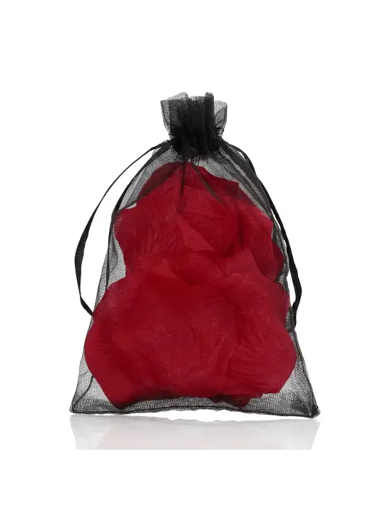 PÉTALAS DE ROSA VERMELHAS LE DÉSIR