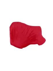 PÉTALAS DE ROSA VERMELHAS LE DÉSIR