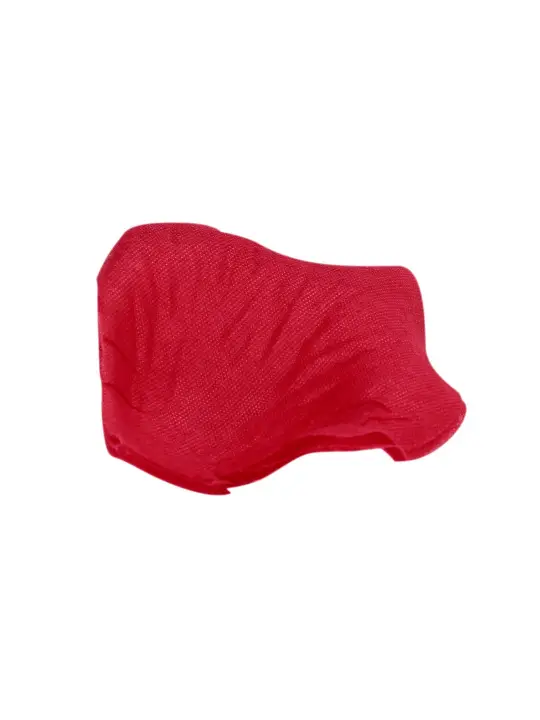 PÉTALAS DE ROSA VERMELHAS LE DÉSIR