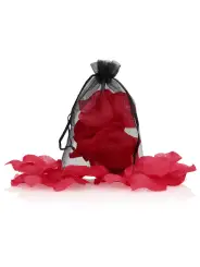 PÉTALAS DE ROSA VERMELHAS LE DÉSIR