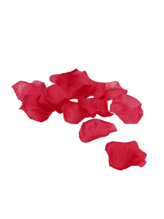 PÉTALAS DE ROSA VERMELHAS LE DÉSIR
