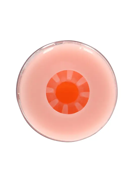 MASTURBADOR TEASY RIDER TEXTURED FLESH REALROCK