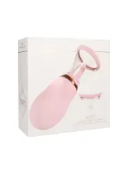 BOMBA RECARREGÁVEL PARA VULVA E SEIOS BOOST ROSA PUMPED