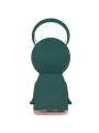 BOMBA PARA VULVA E SEIOS EXQUISITE FOREST GREEN PUMPED