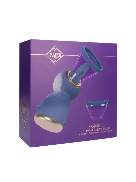 BOMBA PARA VULVA E SEIOS EXQUISITE ROXO PUMPED