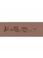PINUP DOLLS - BEAUTY QUEEN LULU LIPLUST - TPE SMALL MASTURBATOR - 127G - BROWN