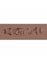 RAW - VELVET VICE - TPE LARGE MASTURBATOR - 335G - BROWN