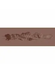 MASTURBADOR RAW THE GRIP TPE SMALL 137G BROWN XKIN