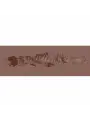 MASTURBADOR RAW THE GRIP TPE SMALL 137G BROWN XKIN