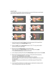 EXTENSOR DE PÉNIS POR TRAÇÃO PENIS EXTENDER PUMPED PRETO