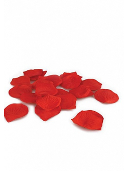 PÉTALAS DE ROSA TOUCHÉ