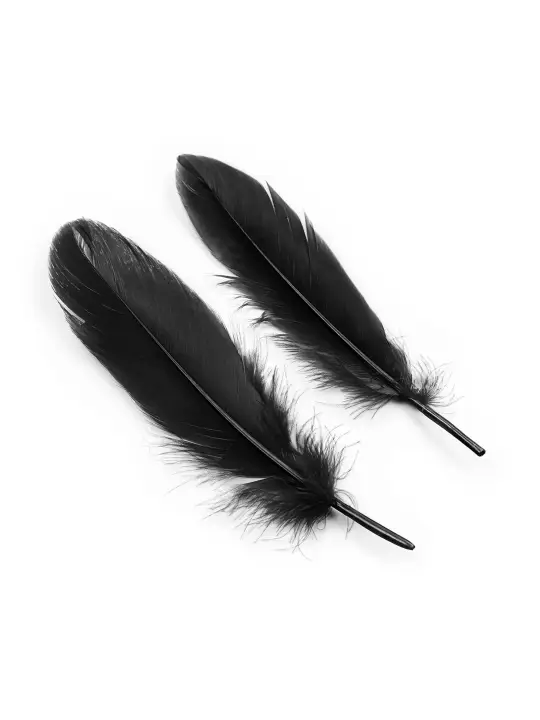 KIT BONDAGE LOVER'S DREAM CRUSHIOUS PRETO