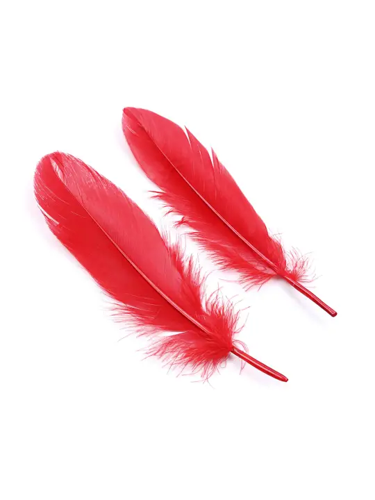 KIT BONDAGE LOVER'S DREAM CRUSHIOUS VERMELHO